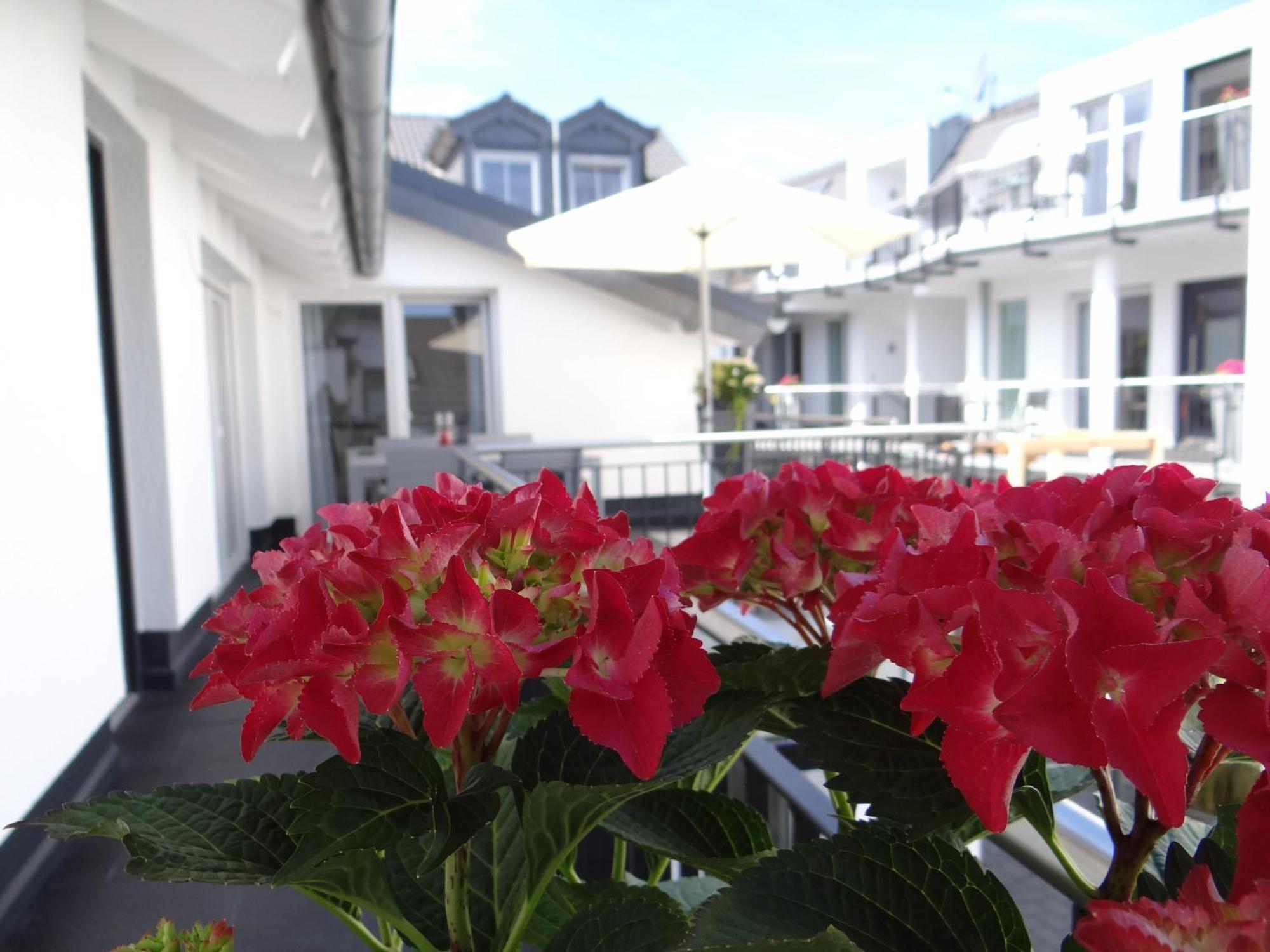 Ferienapartments Am Steinfelder Hof Bad Neuenahr-Ahrweiler Pokój zdjęcie